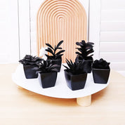 Matisse Succulent Plant